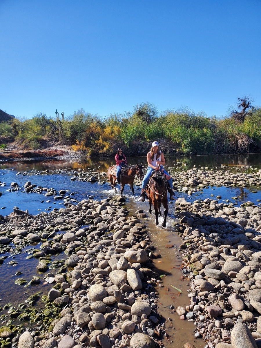 Saguaro Lake Ranch Stable